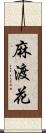 麻渡花 Scroll