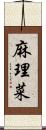 麻理菜 Scroll