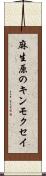麻生原のキンモクセイ Scroll