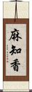 麻知香 Scroll