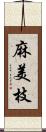 麻美枝 Scroll