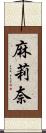 麻莉奈 Scroll