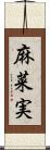 麻菜実 Scroll