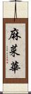 麻菜華 Scroll