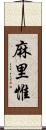 麻里惟 Scroll