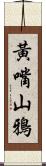 黃嘴山鴉 Scroll