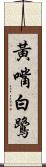 黃嘴白鷺 Scroll