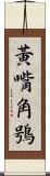 黃嘴角鴞 Scroll