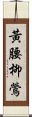 黃腰柳鶯 Scroll