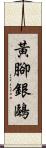 黃腳銀鷗 Scroll