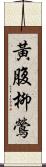 黃腹柳鶯 Scroll