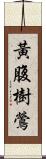 黃腹樹鶯 Scroll