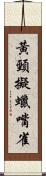 黃頸擬蠟嘴雀 Scroll