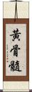 黃骨髓 Scroll