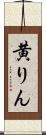 黄りん Scroll