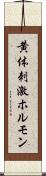 黄体刺激ホルモン Scroll