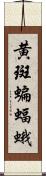 黄斑蝙蝠蛾 Scroll