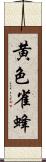 黄色雀蜂 Scroll