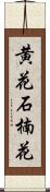 黄花石楠花 Scroll