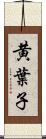黄葉子 Scroll