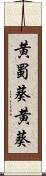 黄蜀葵 Scroll