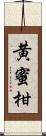 黄蜜柑 Scroll