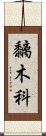 黐木科 Scroll