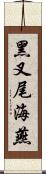 黑叉尾海燕 Scroll