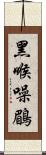 黑喉噪鶥 Scroll