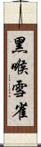 黑喉雪雀 Scroll