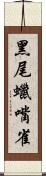 黑尾蠟嘴雀 Scroll