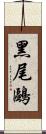 黑尾鷗 Scroll