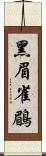 黑眉雀鶥 Scroll