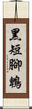 黑短腳鵯 Scroll