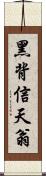 黑背信天翁 Scroll
