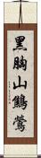 黑胸山鷦鶯 Scroll