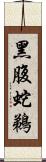 黑腹蛇鵜 Scroll