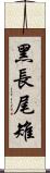 黑長尾雉 Scroll