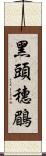 黑頭穗鶥 Scroll