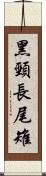 黑頸長尾雉 Scroll