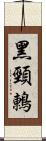 黑頸鶇 Scroll