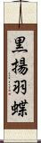 黒揚羽蝶 Scroll