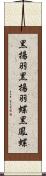 黒揚羽 Scroll