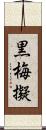 黒梅擬 Scroll