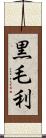 黒毛利 Scroll