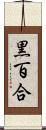 黒百合 Scroll