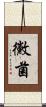 黴菌 Scroll