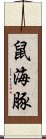 鼠海豚 Scroll