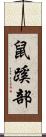 鼠蹊部 Scroll