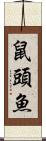 鼠頭魚 Scroll